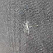 ヒメ日記 2025/05/25 10:59 投稿 星野 MadameRest(マダムレスト)