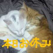 ヒメ日記 2025/06/01 09:07 投稿 星野 MadameRest(マダムレスト)