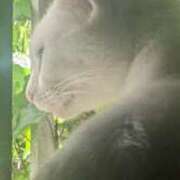 ヒメ日記 2025/06/06 13:52 投稿 星野 MadameRest(マダムレスト)