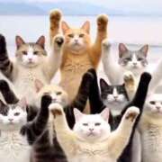 ヒメ日記 2025/06/07 09:03 投稿 星野 MadameRest(マダムレスト)