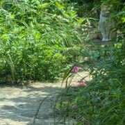 ヒメ日記 2025/06/07 10:47 投稿 星野 MadameRest(マダムレスト)