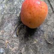 ヒメ日記 2025/06/08 09:39 投稿 星野 MadameRest(マダムレスト)