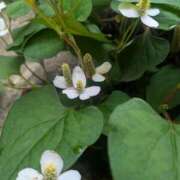 ヒメ日記 2025/06/15 07:55 投稿 星野 MadameRest(マダムレスト)