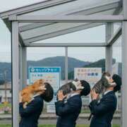 ヒメ日記 2025/06/22 11:16 投稿 星野 MadameRest(マダムレスト)