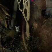 ヒメ日記 2025/06/27 22:49 投稿 星野 MadameRest(マダムレスト)