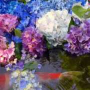 ヒメ日記 2025/06/29 09:12 投稿 星野 MadameRest(マダムレスト)