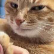 ヒメ日記 2025/07/04 18:38 投稿 星野 MadameRest(マダムレスト)