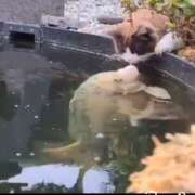 ヒメ日記 2025/07/05 09:45 投稿 星野 MadameRest(マダムレスト)