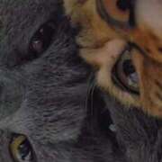 ヒメ日記 2025/07/05 13:12 投稿 星野 MadameRest(マダムレスト)