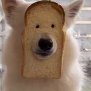 ヒメ日記 2025/07/11 14:15 投稿 星野 MadameRest(マダムレスト)