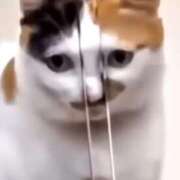 ヒメ日記 2025/07/31 20:48 投稿 星野 MadameRest(マダムレスト)