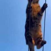 ヒメ日記 2025/08/02 13:14 投稿 星野 MadameRest(マダムレスト)