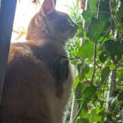 ヒメ日記 2025/08/31 09:07 投稿 星野 MadameRest(マダムレスト)