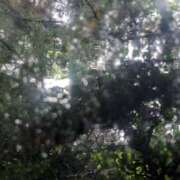 ヒメ日記 2025/09/05 19:13 投稿 星野 MadameRest(マダムレスト)