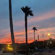 ヒメ日記 2025/09/14 02:49 投稿 星野 MadameRest(マダムレスト)