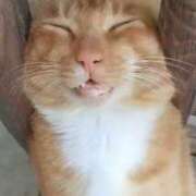 ヒメ日記 2025/09/24 02:54 投稿 星野 MadameRest(マダムレスト)