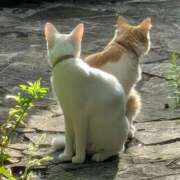 ヒメ日記 2025/10/01 20:38 投稿 星野 MadameRest(マダムレスト)