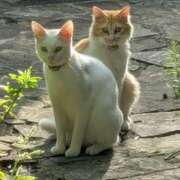 ヒメ日記 2025/10/02 09:06 投稿 星野 MadameRest(マダムレスト)