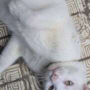 ヒメ日記 2025/10/13 09:03 投稿 星野 MadameRest(マダムレスト)