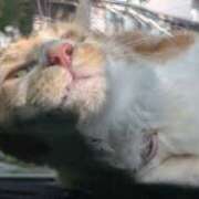 ヒメ日記 2025/11/02 10:07 投稿 星野 MadameRest(マダムレスト)