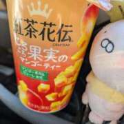 ヒメ日記 2025/11/03 09:01 投稿 星野 MadameRest(マダムレスト)