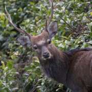 ヒメ日記 2025/11/16 04:06 投稿 星野 MadameRest(マダムレスト)