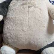 ヒメ日記 2025/11/21 22:34 投稿 星野 MadameRest(マダムレスト)