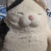 ヒメ日記 2025/11/22 09:01 投稿 星野 MadameRest(マダムレスト)