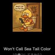 ヒメ日記 2025/11/24 09:23 投稿 星野 MadameRest(マダムレスト)