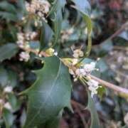 ヒメ日記 2025/11/27 16:13 投稿 星野 MadameRest(マダムレスト)