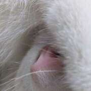 星野 寒い〜！！！ MadameRest(マダムレスト)