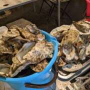 星野 牡蠣〜 MadameRest(マダムレスト)