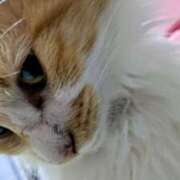 ヒメ日記 2025/12/13 09:07 投稿 星野 MadameRest(マダムレスト)