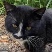 ヒメ日記 2025/12/14 08:17 投稿 星野 MadameRest(マダムレスト)