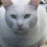 ヒメ日記 2025/12/20 09:37 投稿 星野 MadameRest(マダムレスト)