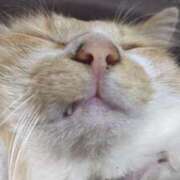 ヒメ日記 2025/12/21 09:19 投稿 星野 MadameRest(マダムレスト)