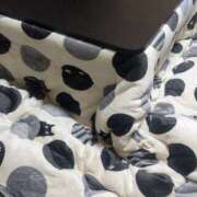 ヒメ日記 2025/12/28 13:01 投稿 星野 MadameRest(マダムレスト)