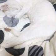 ヒメ日記 2025/12/30 11:42 投稿 星野 MadameRest(マダムレスト)