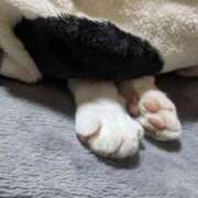 ヒメ日記 2026/01/04 09:18 投稿 星野 MadameRest(マダムレスト)