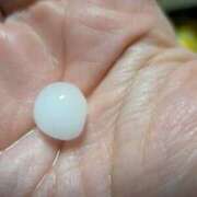 ヒメ日記 2026/01/11 03:54 投稿 星野 MadameRest(マダムレスト)