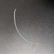 星野 😺ひげ MadameRest(マダムレスト)