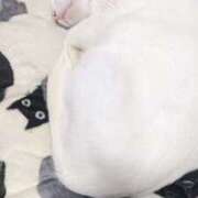 星野 もちくん MadameRest(マダムレスト)