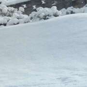 ヒメ日記 2026/02/08 11:10 投稿 星野 MadameRest(マダムレスト)