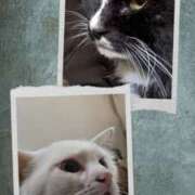 ヒメ日記 2026/02/10 16:28 投稿 星野 MadameRest(マダムレスト)