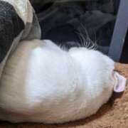 ヒメ日記 2026/02/13 23:20 投稿 星野 MadameRest(マダムレスト)