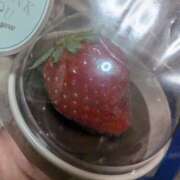 ヒメ日記 2026/02/15 09:22 投稿 星野 MadameRest(マダムレスト)