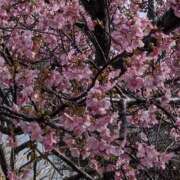 ヒメ日記 2026/02/21 09:22 投稿 星野 MadameRest(マダムレスト)