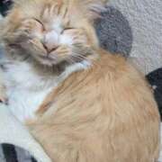 ヒメ日記 2026/02/28 13:27 投稿 星野 MadameRest(マダムレスト)