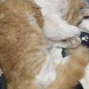 ヒメ日記 2026/03/19 21:51 投稿 星野 MadameRest(マダムレスト)