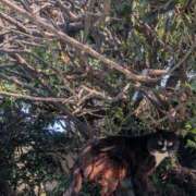 ヒメ日記 2026/04/05 08:22 投稿 星野 MadameRest(マダムレスト)